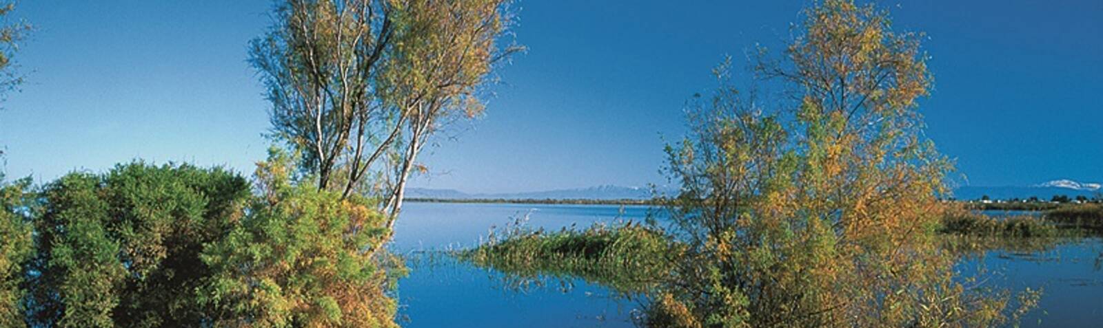 Alagol, Almagol and Ajigol Wetlands